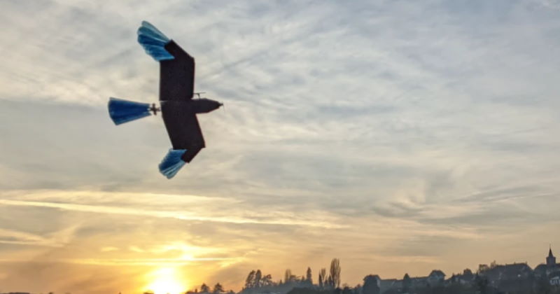 drone uccello per volo in città