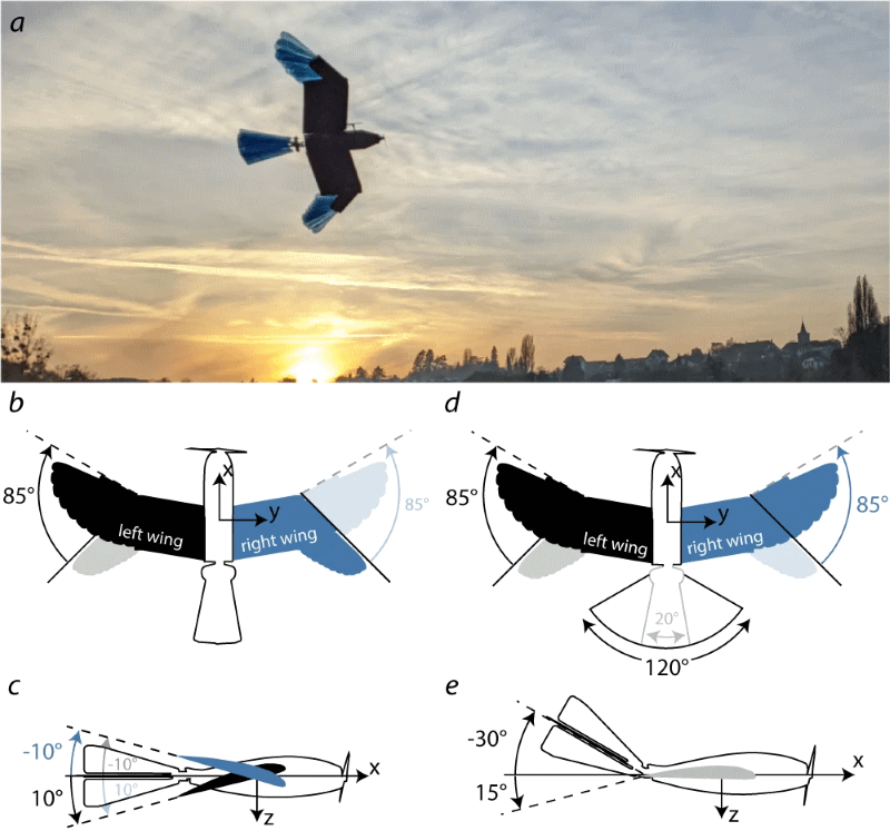 liseagle drone uccello pu&ograve; spostare le penne sulle ali e sulla coda per manovre pi&ugrave; efficienti
