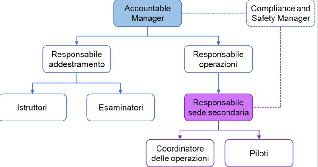 immagine di accountable manager