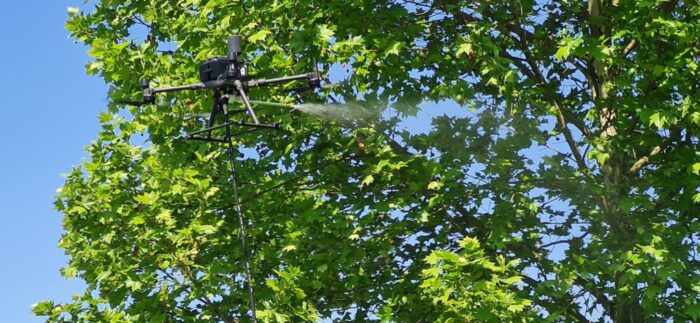 immagine di drone lotta processionaria