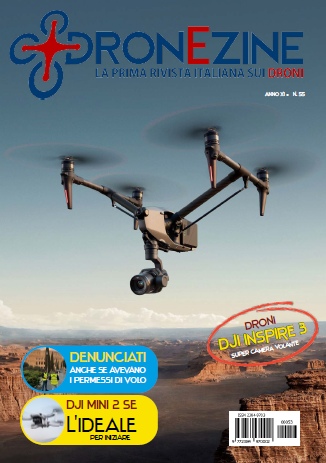 immagine di dz 55 copertina