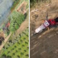 calabria drone scopre piromane
