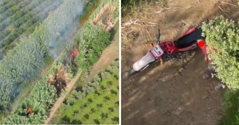 calabria drone scopre piromane