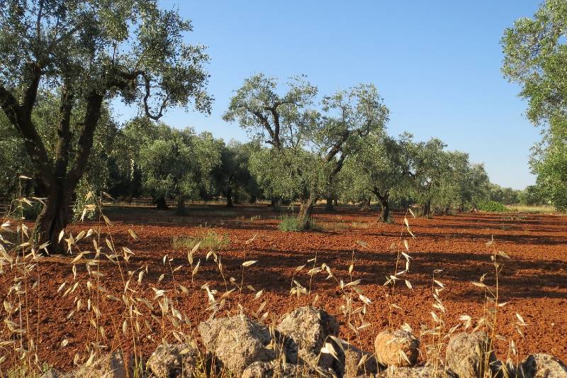 drone puglia scopre sversamento illegale di percolato