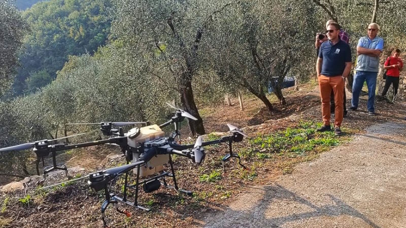 liguria droni agricoli contro la mosca dell'olivo
