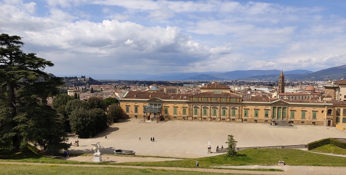 immagine di foto aerea firenze