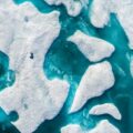 immagine di polar obsessione dji