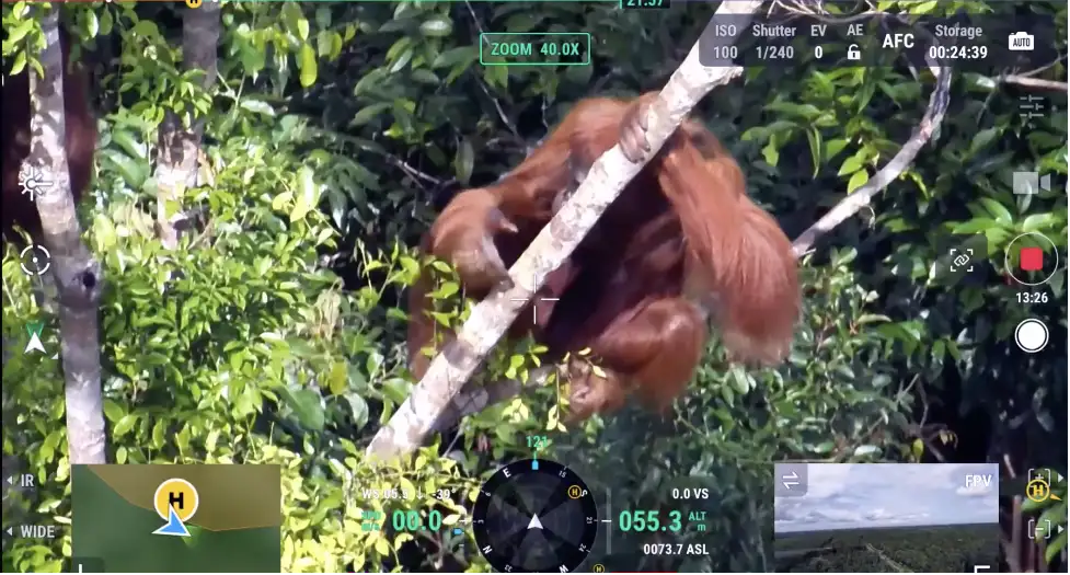 salvataggiooranghicondji-ezgif.com-optiwebp