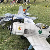 immagine di IMG 1793