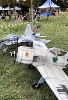 immagine di IMG 1793