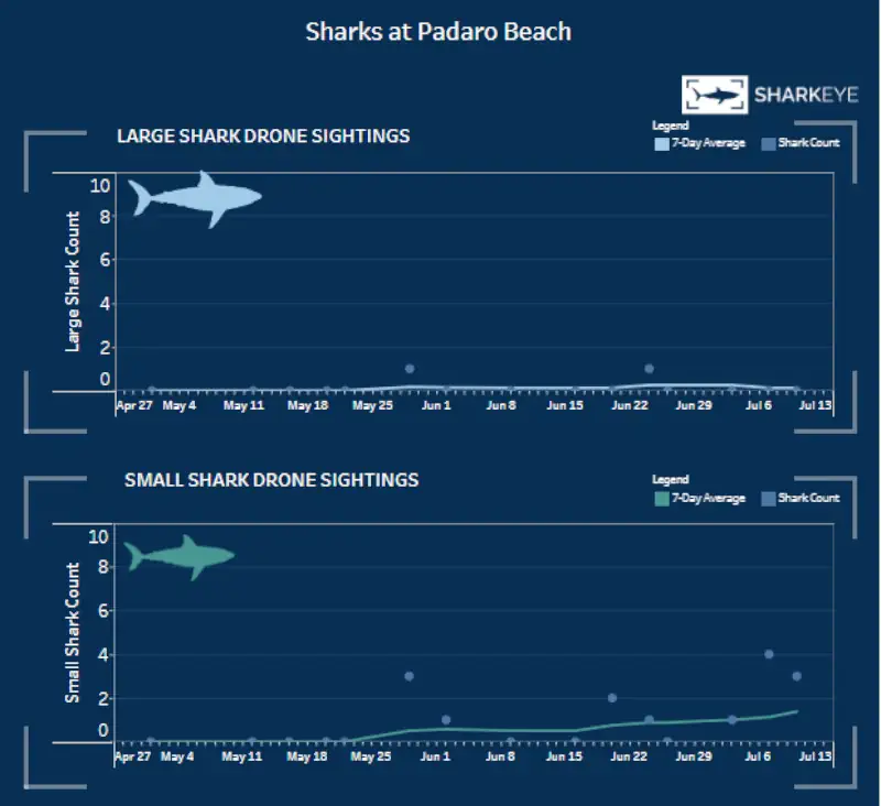 avvistamento squali con droni sharkeye progetto padaro beach california