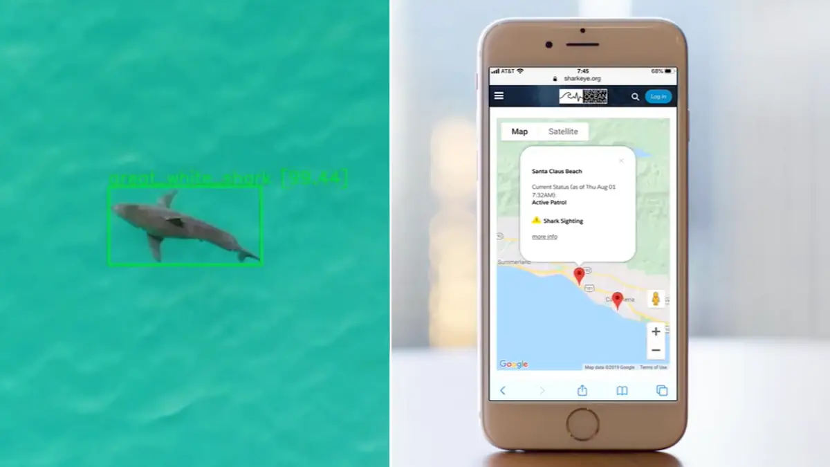 sharkeye progetto california squali rilevati dai droni