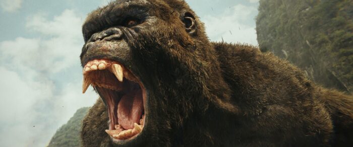 immagine di kong