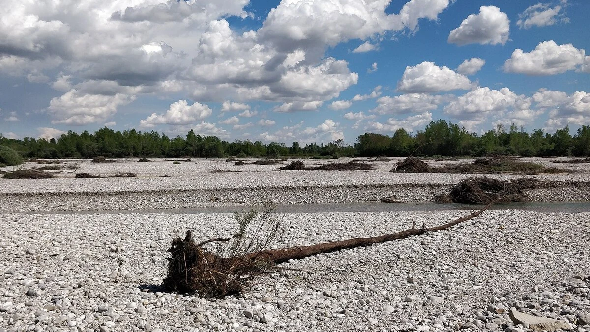 polizia a cavallo e droni friuli venezia giulia