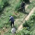 droni controlli contro capolarato