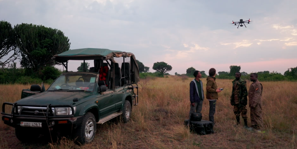 immagine di uganda usano droni per proteggere i leoni