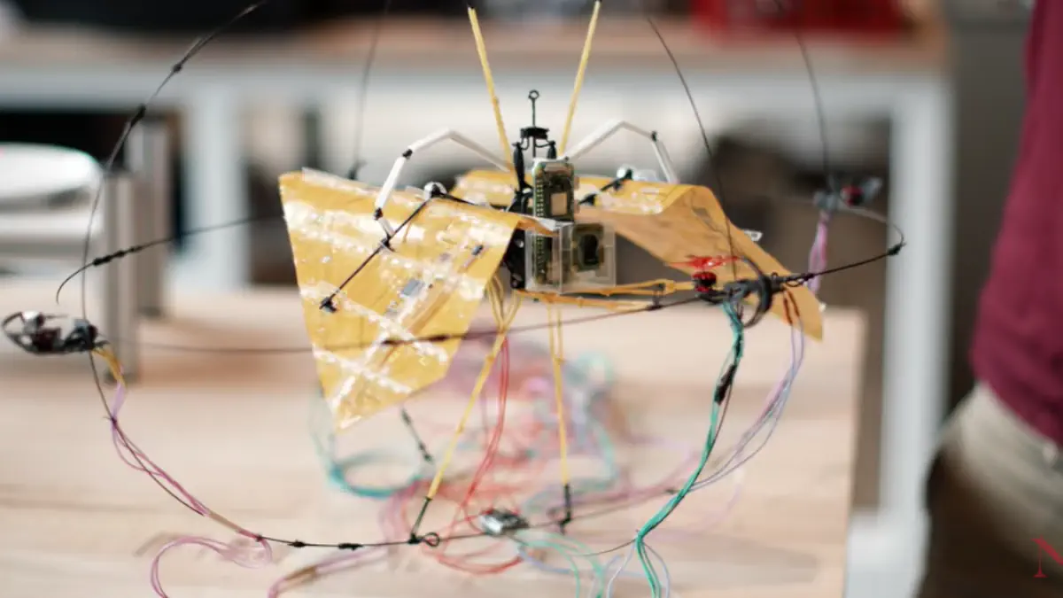 aerobat drone ispirato ai pipistrelli