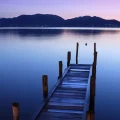 droni scoprono bracconieri lago di massaciuccoli
