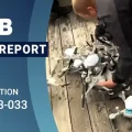 report su incidente droni melbourne 2023