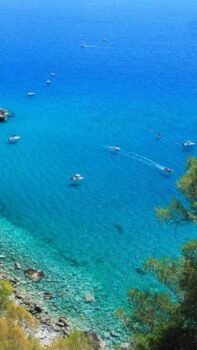 immagine di 3