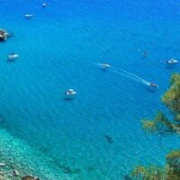 immagine di 3