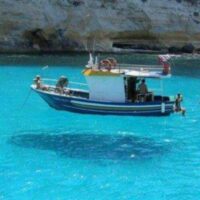 immagine di 4