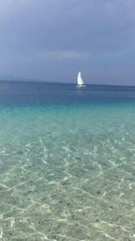 immagine di 5