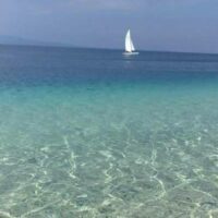 immagine di 5