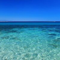 immagine di 7
