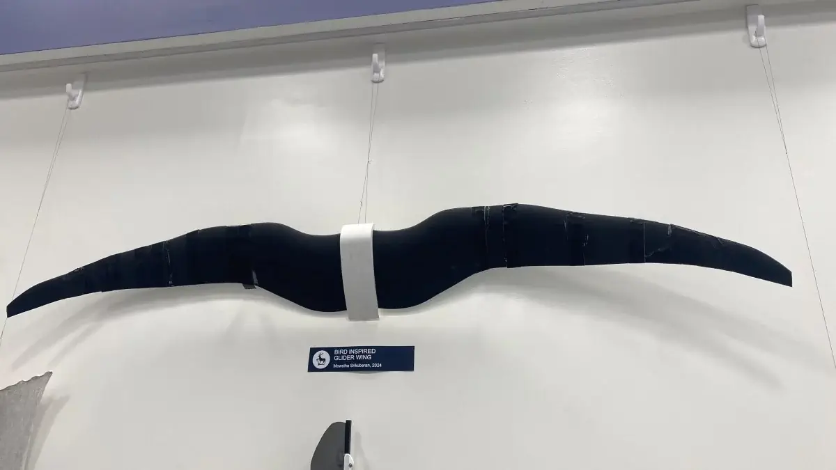 droni che imparano a volare ispirandosi ai rapaci