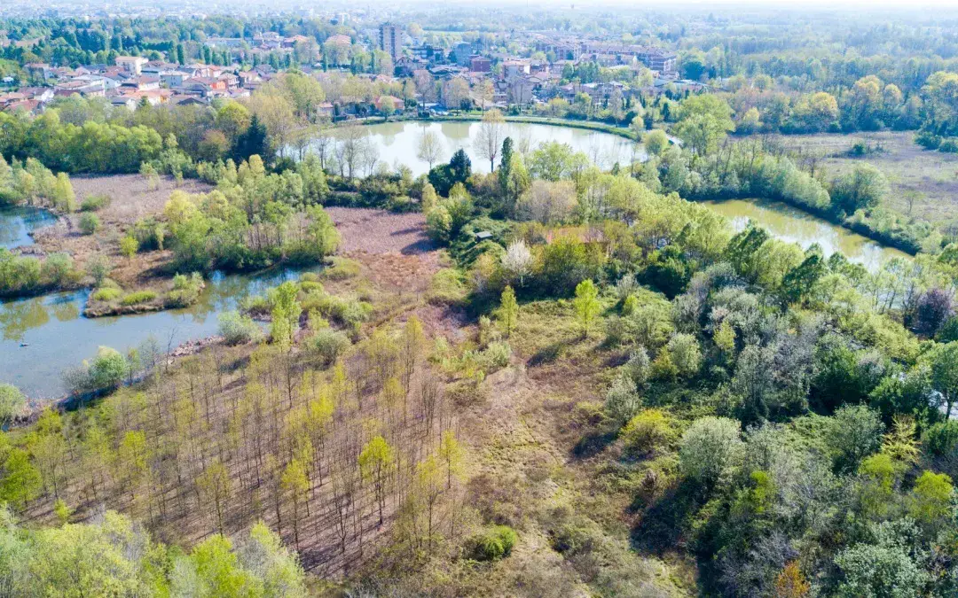 droni e unità cinofile parco delle groane