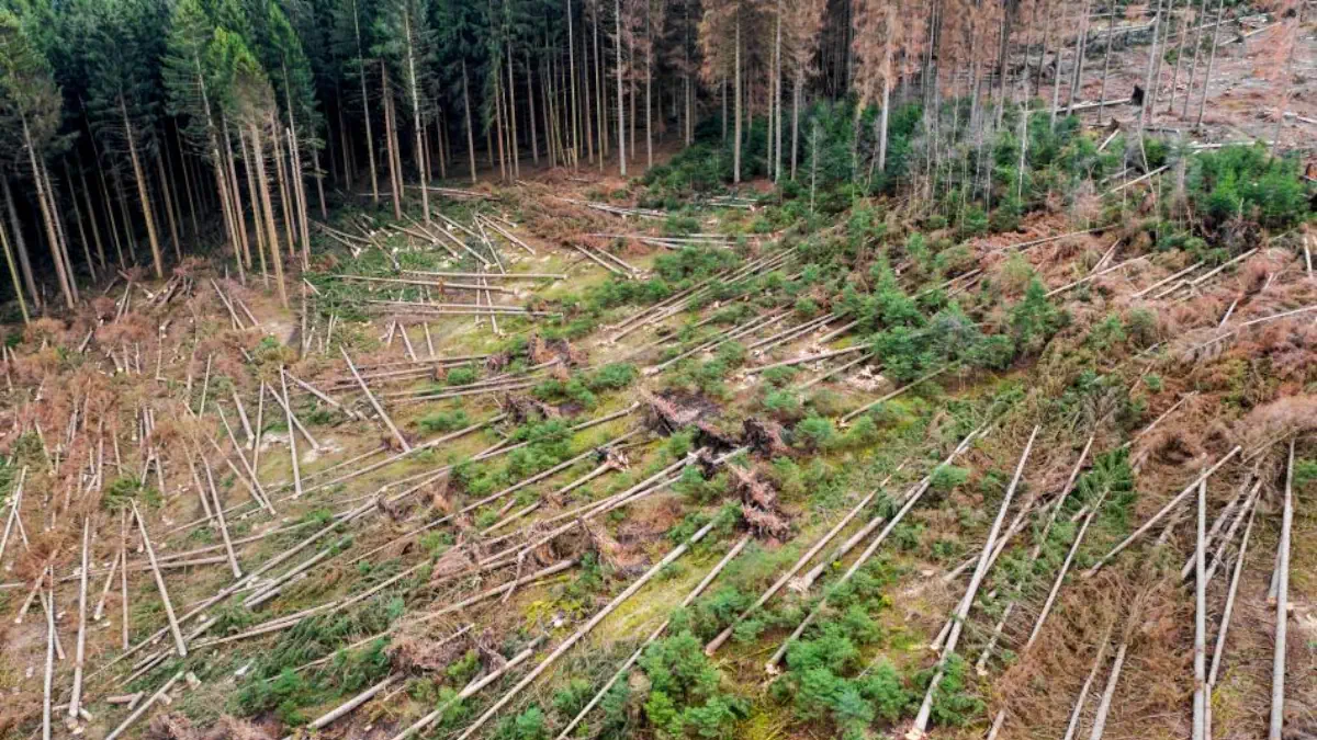 droni per ripristinare la rete elettrica irlanda dopo le tempeste