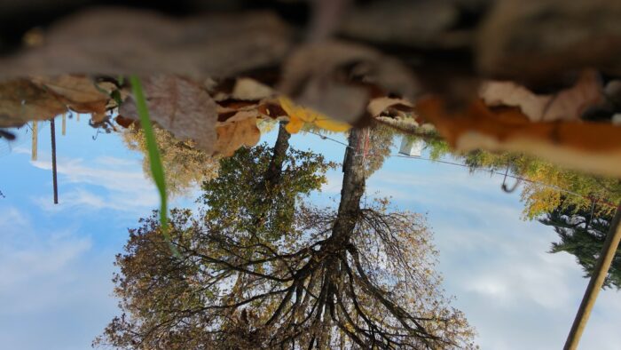 Piccolo crash con il motion, nonostante tutto i ramoscelli non vengono evitati