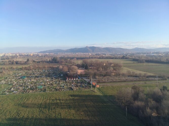 immagine di foto onboard falcon mini
