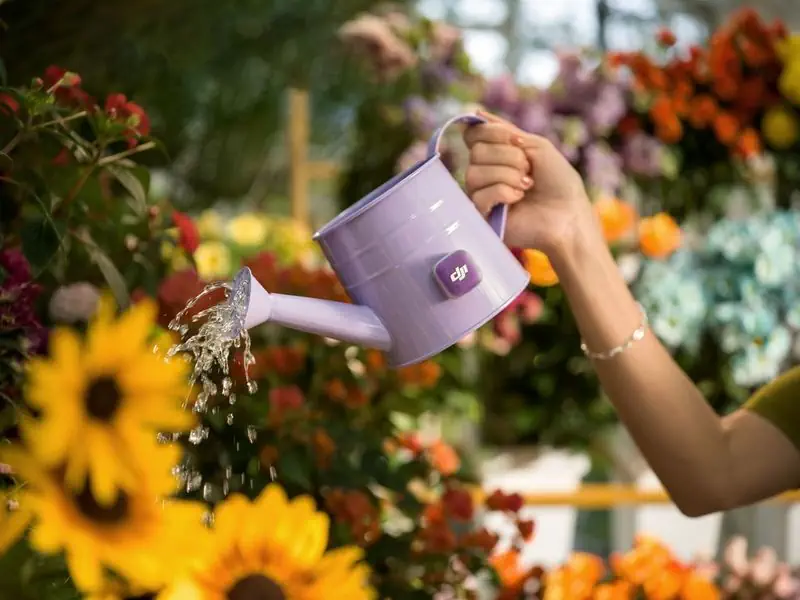 immagine di dji mic mini 2 colori variabili