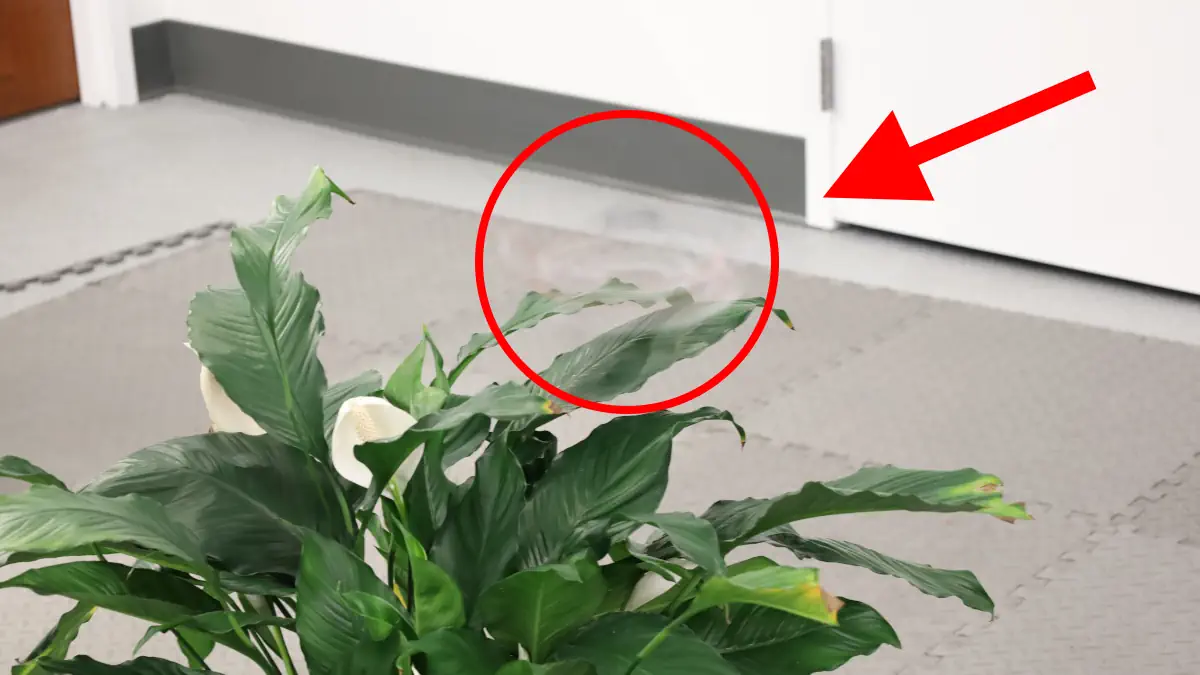 phantom twist drone che rotea e sparisce sullo sfondo