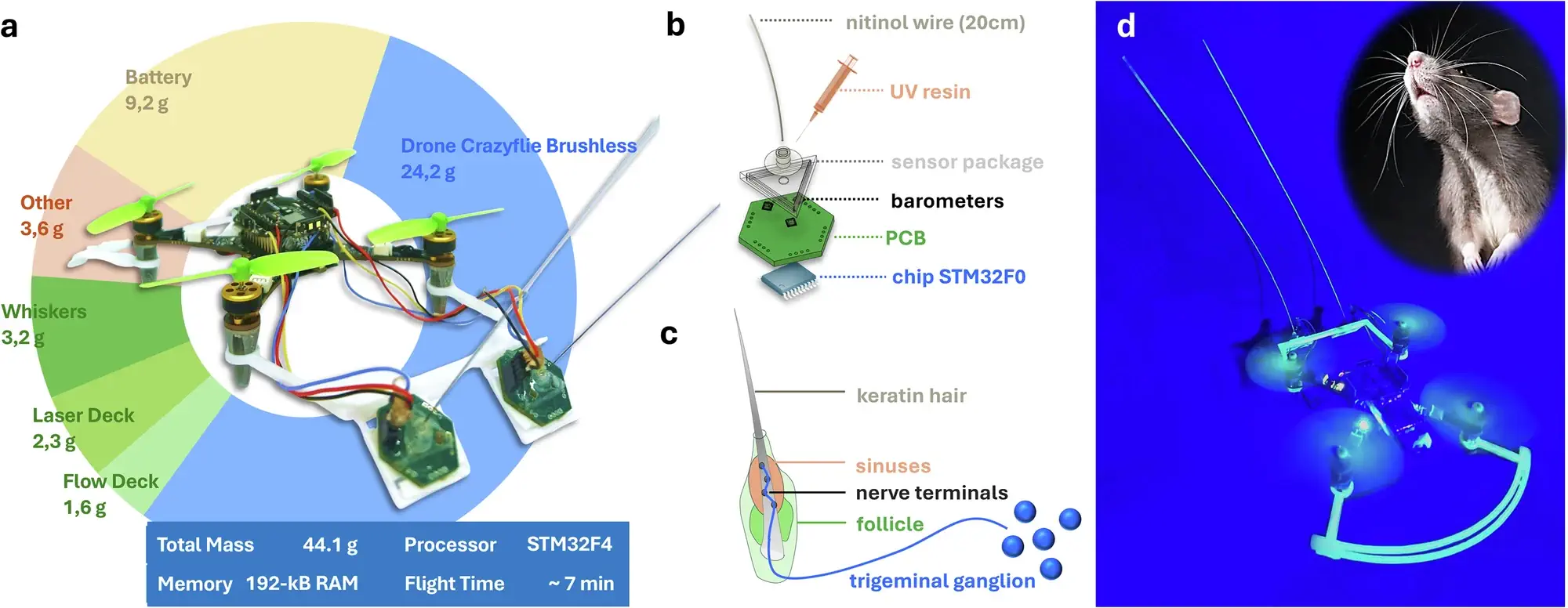 drone coi baffi per sensori di pressione che consentono di volare al buio